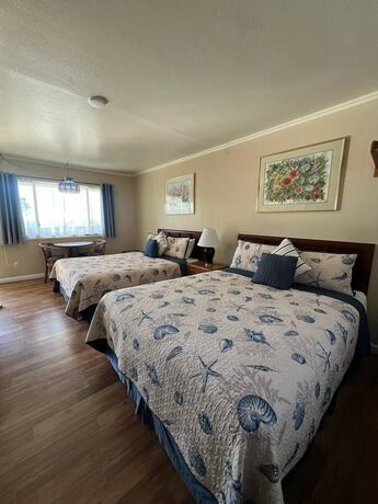 Imagen de la habitación del Hotel Ocean Cove Lodge. Foto 11