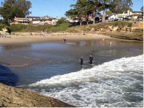 Imagen de la habitación del Hotel Ocean Echo Inn and Beach Cottages. Foto 5