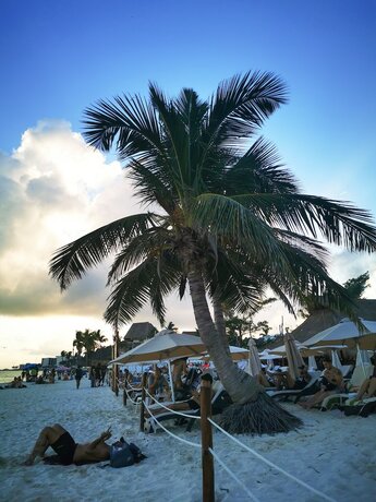 Imagen general del Hotel Ocean Front Boutique. Foto 9