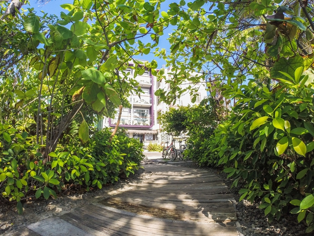 Imagen de los exteriores del Hotel Ocean Grand At Hulhumale. Foto 15