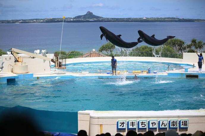 Imagen general del Hotel Ocean Hills Chouraku Stay. Foto 6