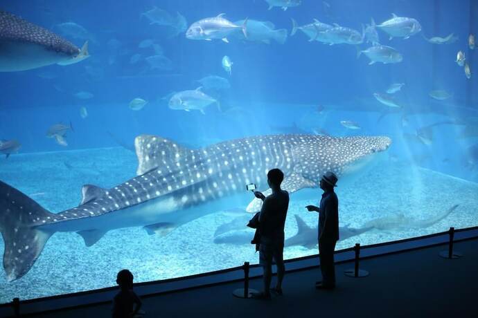 Imagen general del Hotel Ocean Hills Chouraku Stay. Foto 7