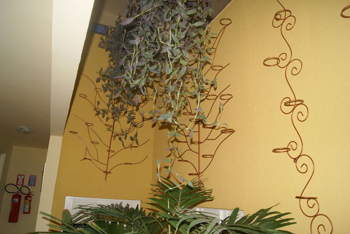 Imagen de los exteriores del Hotel Ocean Imperium. Foto 5