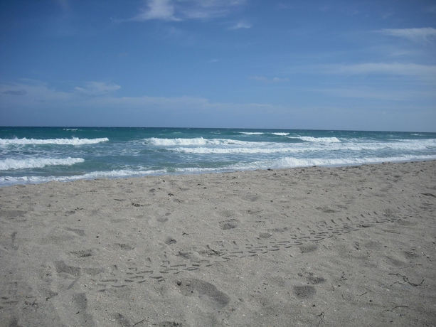 Imagen de los exteriores del Hotel Ocean Lodge, Boca Raton. Foto 10