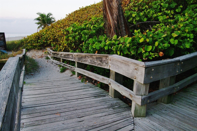 Imagen de los exteriores del Hotel Ocean Lodge, Boca Raton. Foto 11