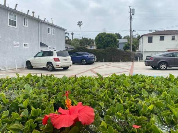 Imagen general del Hotel Ocean Park Inn, Santa Monica. Foto 4