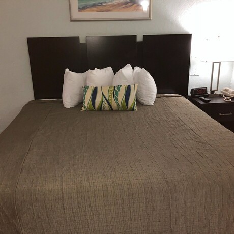 Imagen de la habitación del Hotel Ocean Plaza Motel. Foto 11