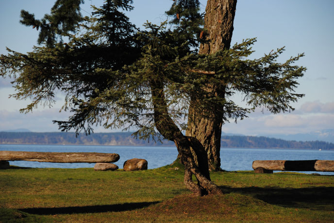 Imagen de los interiores del Hotel Ocean Resort, Campbell River. Foto 15