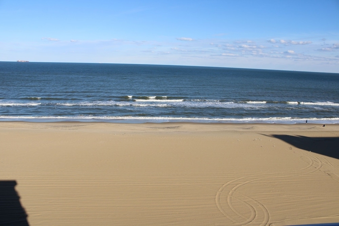 Imagen de los exteriores del Hotel Ocean Resort, Virginia Beach. Foto 16