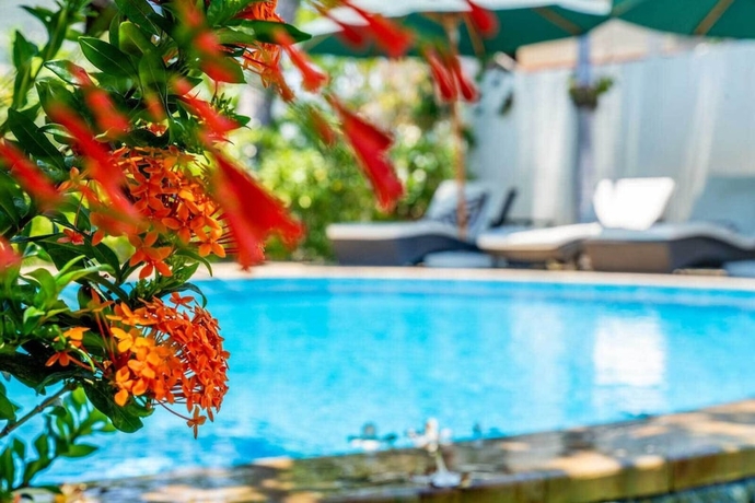 Imagen de la habitación del Hotel Ocean Sun Dive Resort. Foto 19