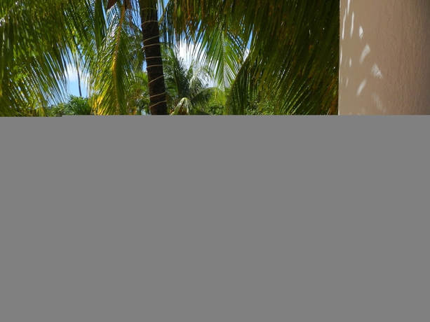 Imagen de la piscina del Hotel Ocean View Sai. Foto 16