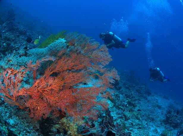 Imagen general del Hotel Ocean View Tulamben Dive and Resort. Foto 1