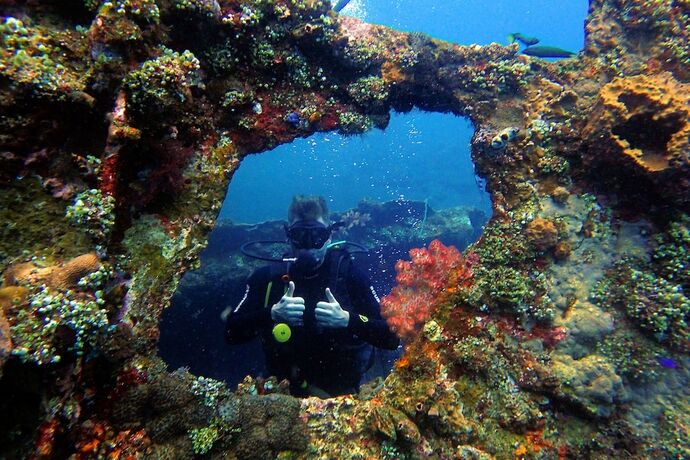 Imagen general del Hotel Ocean View Tulamben Dive and Resort. Foto 3