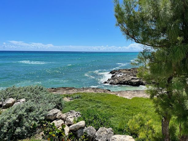 Imagen general del Hotel OceanBlue. Foto 2