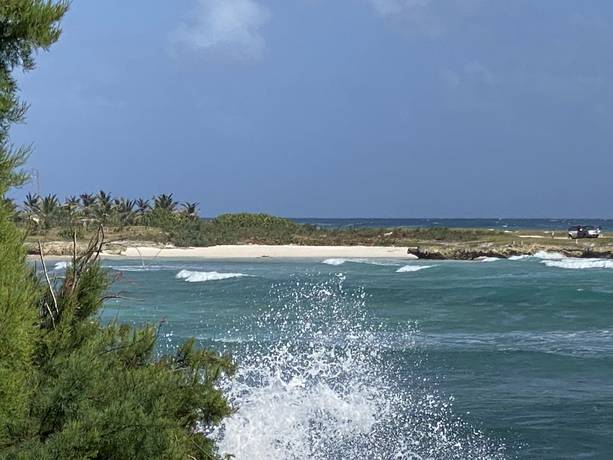 Imagen general del Hotel OceanBlue. Foto 12