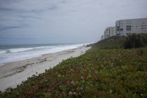 Imagen de la habitación del Hotel Oceanique. Foto 8