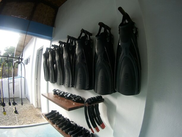 Imagen general del Hotel Oceanlife Explorers. Foto 11