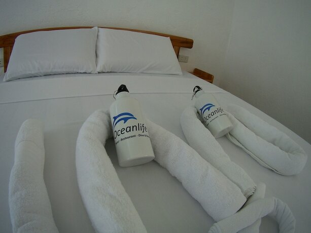 Imagen general del Hotel Oceanlife Explorers. Foto 18