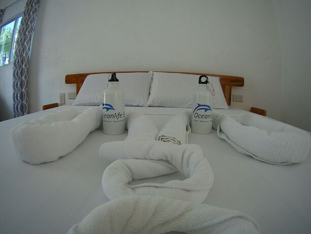 Imagen de la habitación del Hotel Oceanlife Explorers. Foto 21
