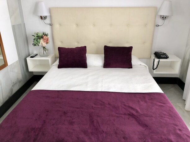 Imagen de la habitación del Hotel Oceano Centro. Foto 15