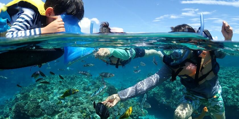 Imagen general del Hotel Oceans Nakijin. Foto 3