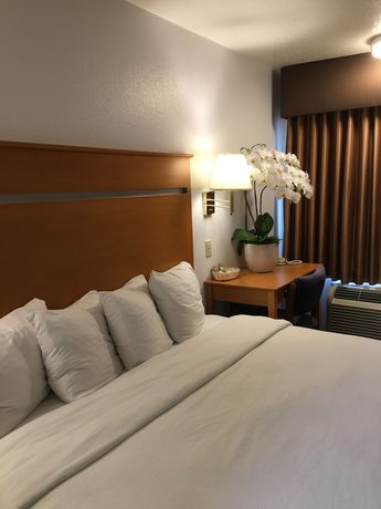 Imagen de la habitación del Hotel Oceanview Motel - Huntington Beach. Foto 13