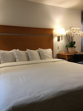 Imagen de la habitación del Hotel Oceanview Motel - Huntington Beach. Foto 20
