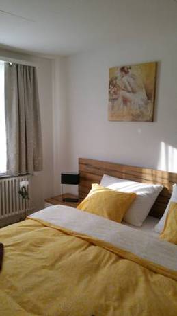 Imagen de la habitación del Hotel Ochsen, WALZENHAUSEN. Foto 5