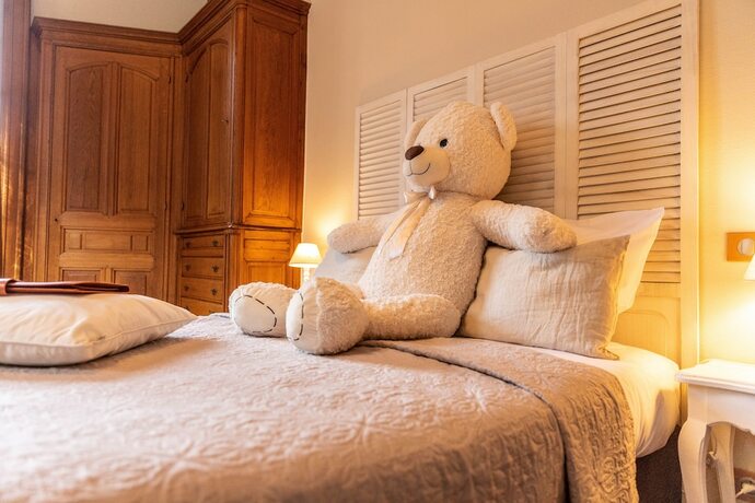 Imagen de la habitación del Hotel &Ocirc; Ch&acirc;teau. Foto 13