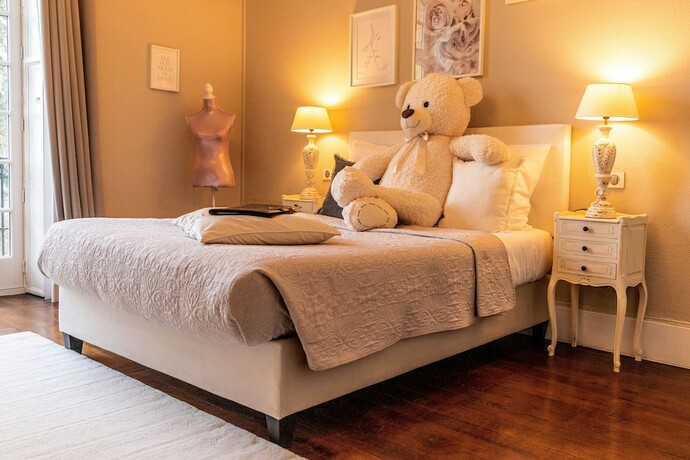 Imagen de la habitación del Hotel &Ocirc; Ch&acirc;teau. Foto 19