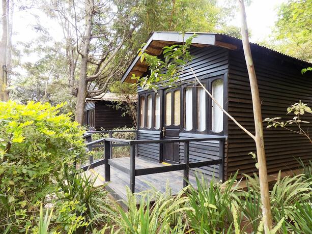 Imagen general del Hotel Octagon Lodge. Foto 16