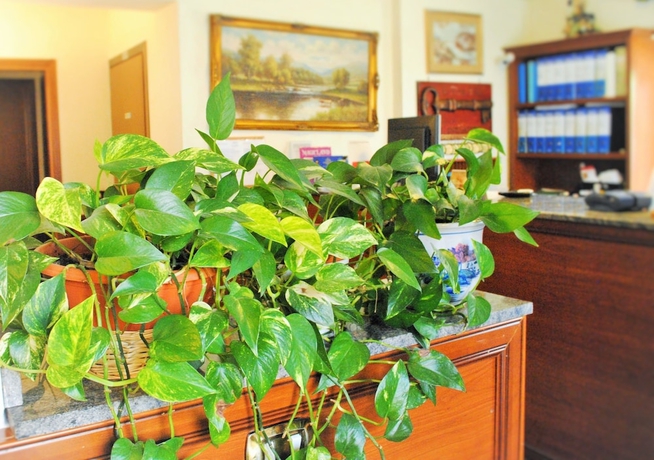 Imagen de los interiores del Hotel Octavia, Cassia. Foto 18