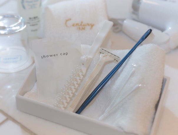 Imagen de la habitación del Hotel Odakyu Century Sagami Ono. Foto 6