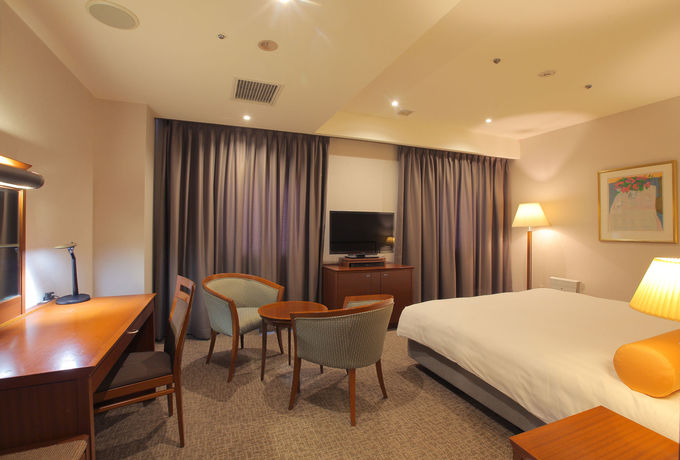 Imagen de la habitación del Hotel Odakyu Station Hon-atsugi. Foto 11