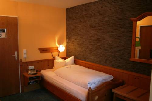 Imagen de la habitación del Hotel Odenwaldblick. Foto 5