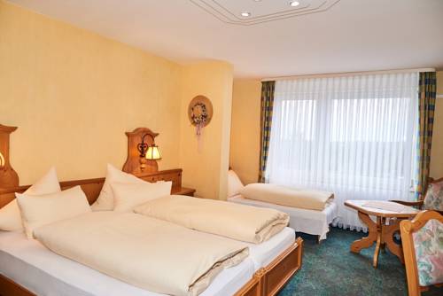 Imagen de la habitación del Hotel Odenwaldblick. Foto 9