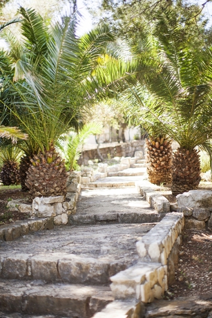 Imagen de los exteriores del Hotel Odisej. Foto 11