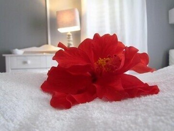 Imagen de la habitación del Hotel Odissea. Foto 9