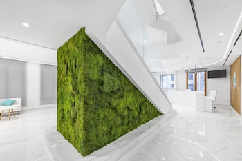 Imagen de los interiores del Hotel Odyssey Rooms. Foto 12
