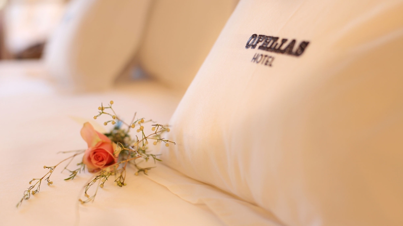 Imagen de la habitación del Hotel Ofelias. Foto 3