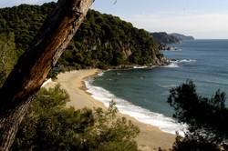 Imagen general del Hotel Oferta Hoteles 3* Lloret de Mar. Foto 1