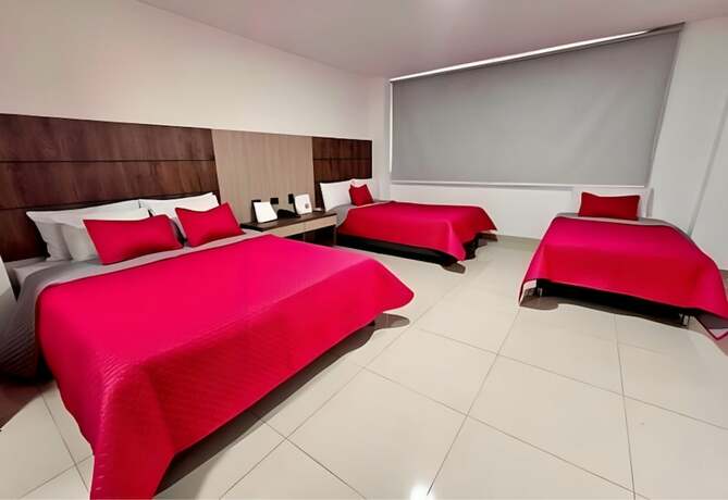 Imagen de la habitación del Hotel Ofix. Foto 17