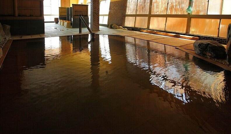 Imagen general del Hotel Ogabanseikaku. Foto 13