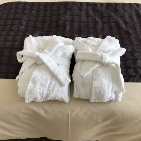 Imagen de la habitación del Hotel Ogaki Forum. Foto 5