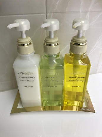 Imagen de la habitación del Hotel Ogaki Forum. Foto 9