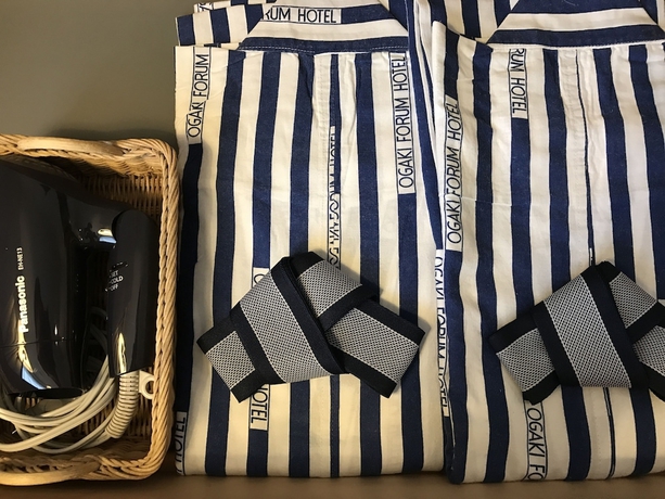 Imagen de la habitación del Hotel Ogaki Forum. Foto 11