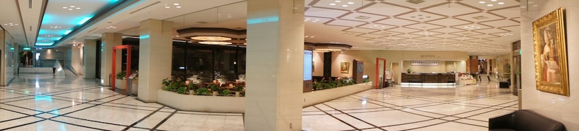 Imagen de los interiores del Hotel Ogaki Forum. Foto 15