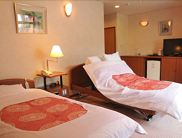 Imagen de la habitación del Hotel Ogawaya. Foto 12