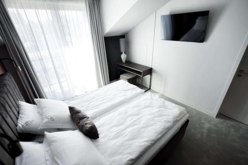 Imagen general del Hotel Oginski. Foto 11