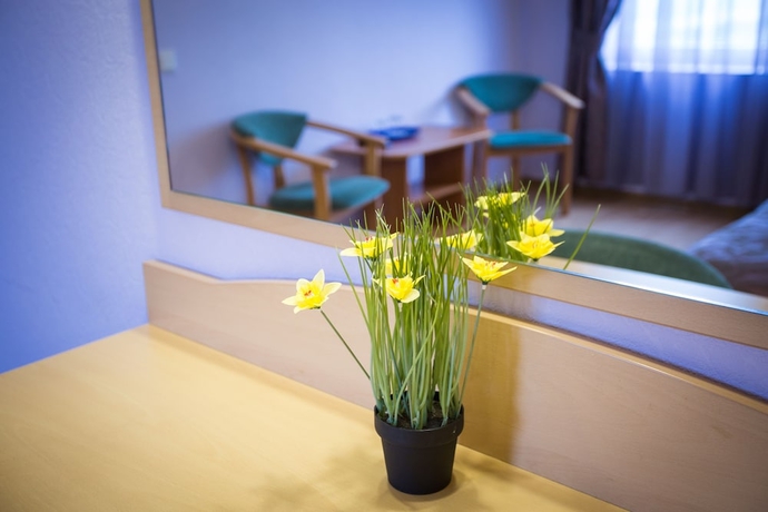 Imagen de la habitación del Hotel Ogni Murmanska. Foto 5